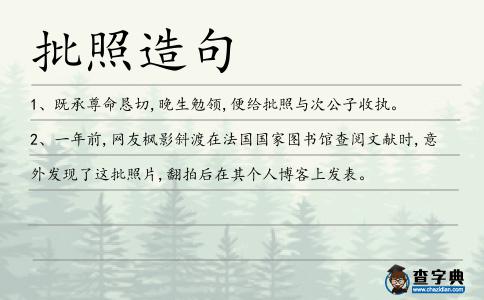 批照造句