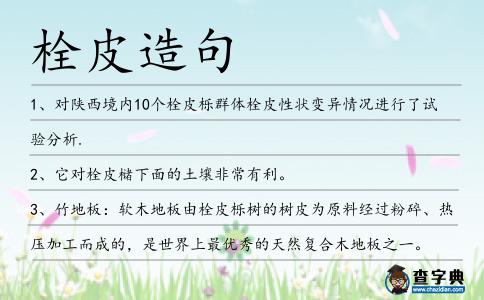 栓皮造句