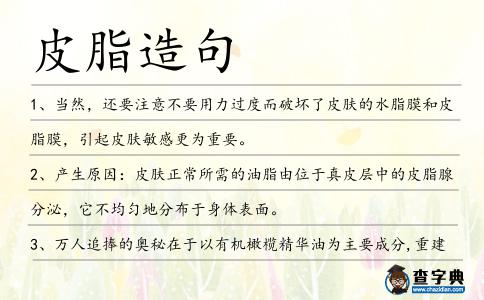 皮脂造句