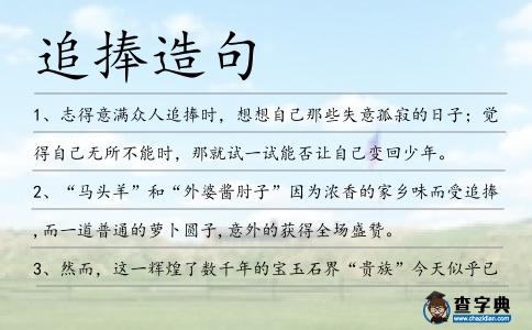 追捧造句