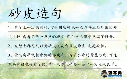 砂皮造句