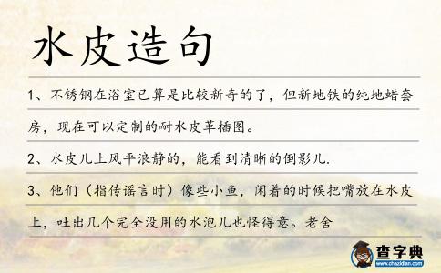 水皮造句
