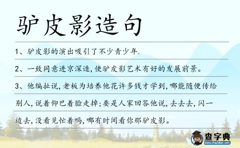 驢皮影造句