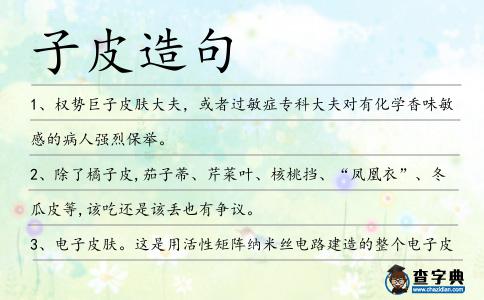 子皮造句