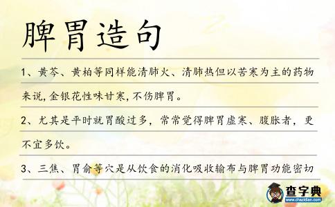 脾胃造句