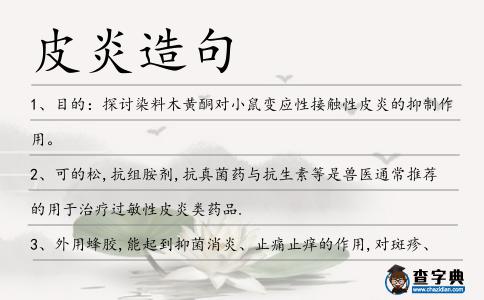 皮炎造句