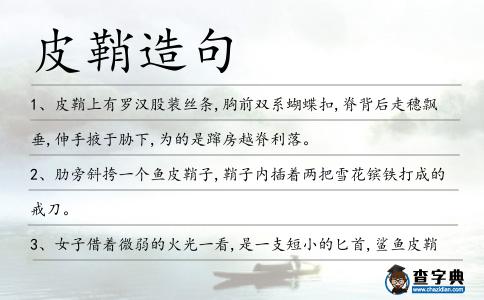 皮鞘造句