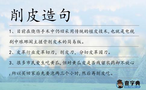 削皮造句