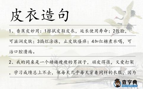 皮衣造句
