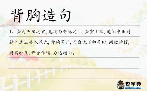 背胸造句