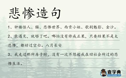悲慘造句
