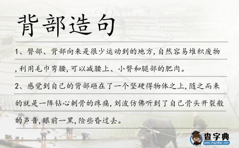 背部造句