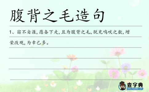 腹背之毛造句