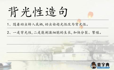 背光性造句