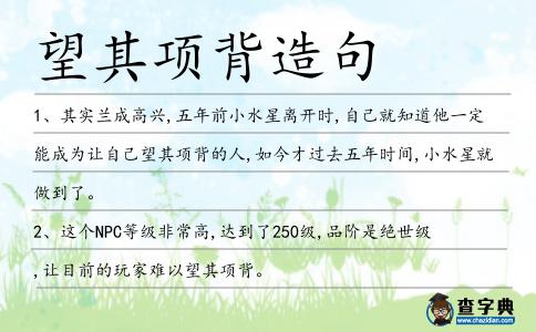 望其項背造句