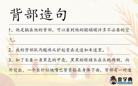 背部造句