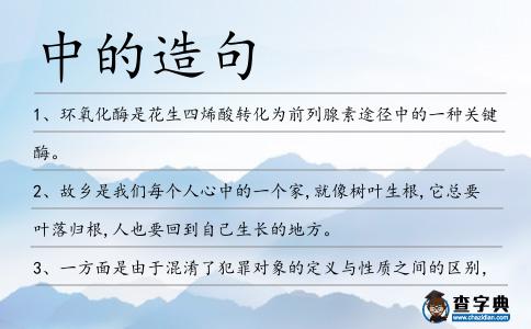 中的造句