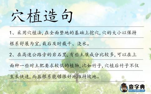 穴植造句
