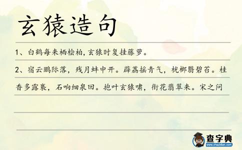 玄猿造句