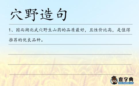 穴野造句