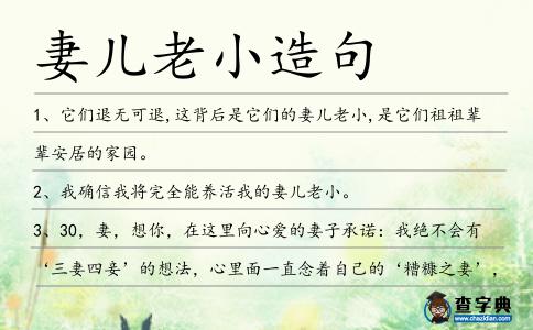 妻兒老小造句