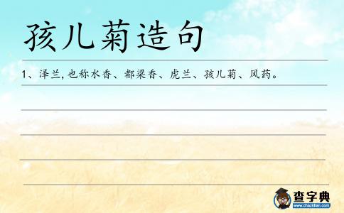 孩兒菊造句