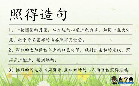 照得造句