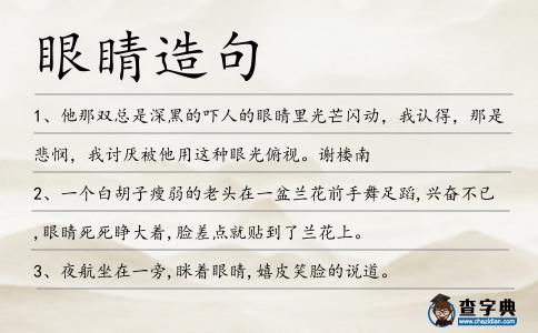 眼睛造句