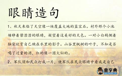 眼睛造句
