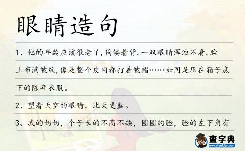 眼睛造句