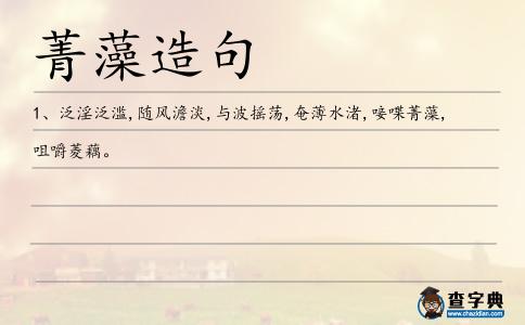 菁藻造句