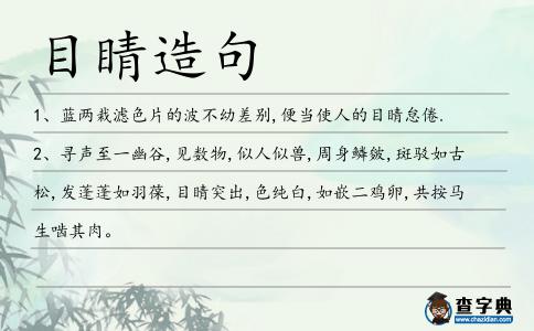 目睛造句