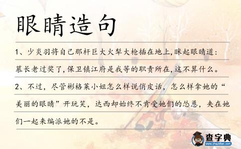 眼睛造句