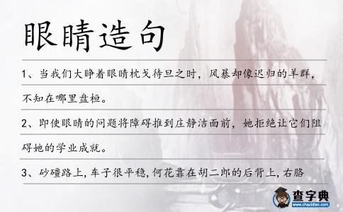 眼睛造句