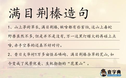 滿目荊榛造句