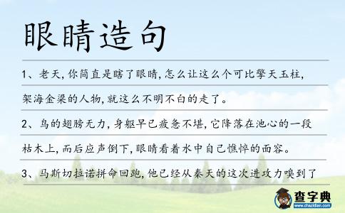 眼睛造句