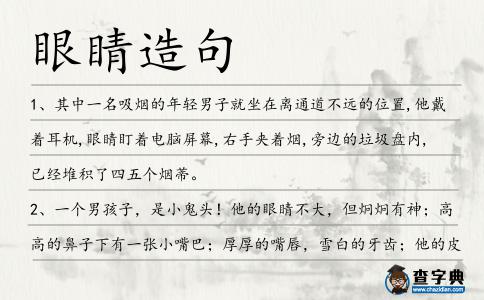 眼睛造句