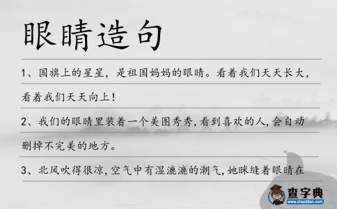 眼睛造句