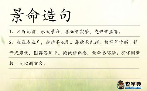 景命造句