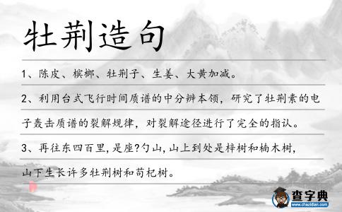 牡荊造句