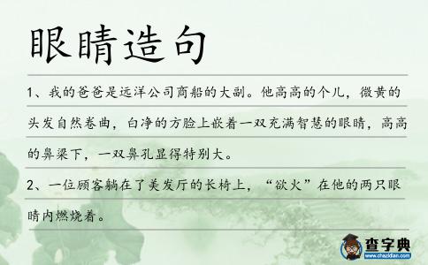 眼睛造句