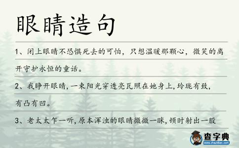 眼睛造句