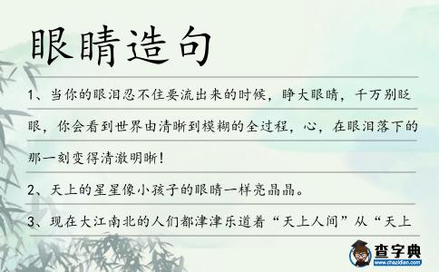 眼睛造句
