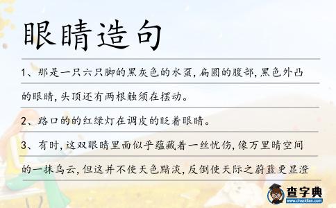 眼睛造句