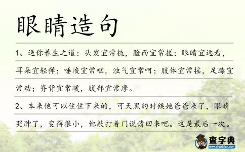 眼睛造句