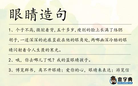 眼睛造句