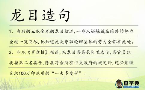 龍目造句