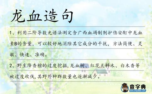龍血造句