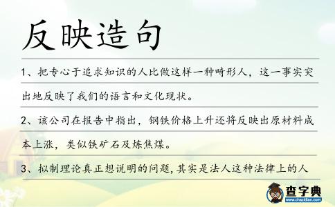 反映造句