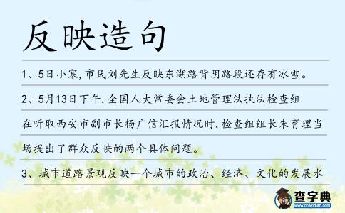 反映造句